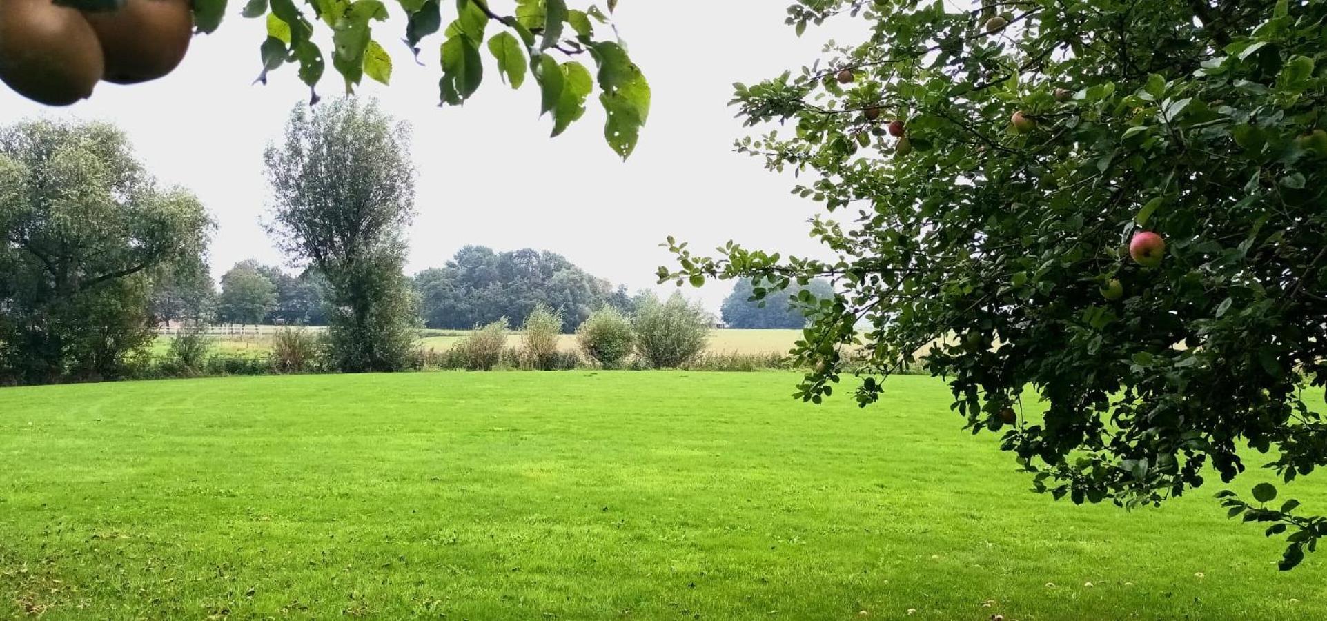 B&B Oldenbosch Holwierde Экстерьер фото
